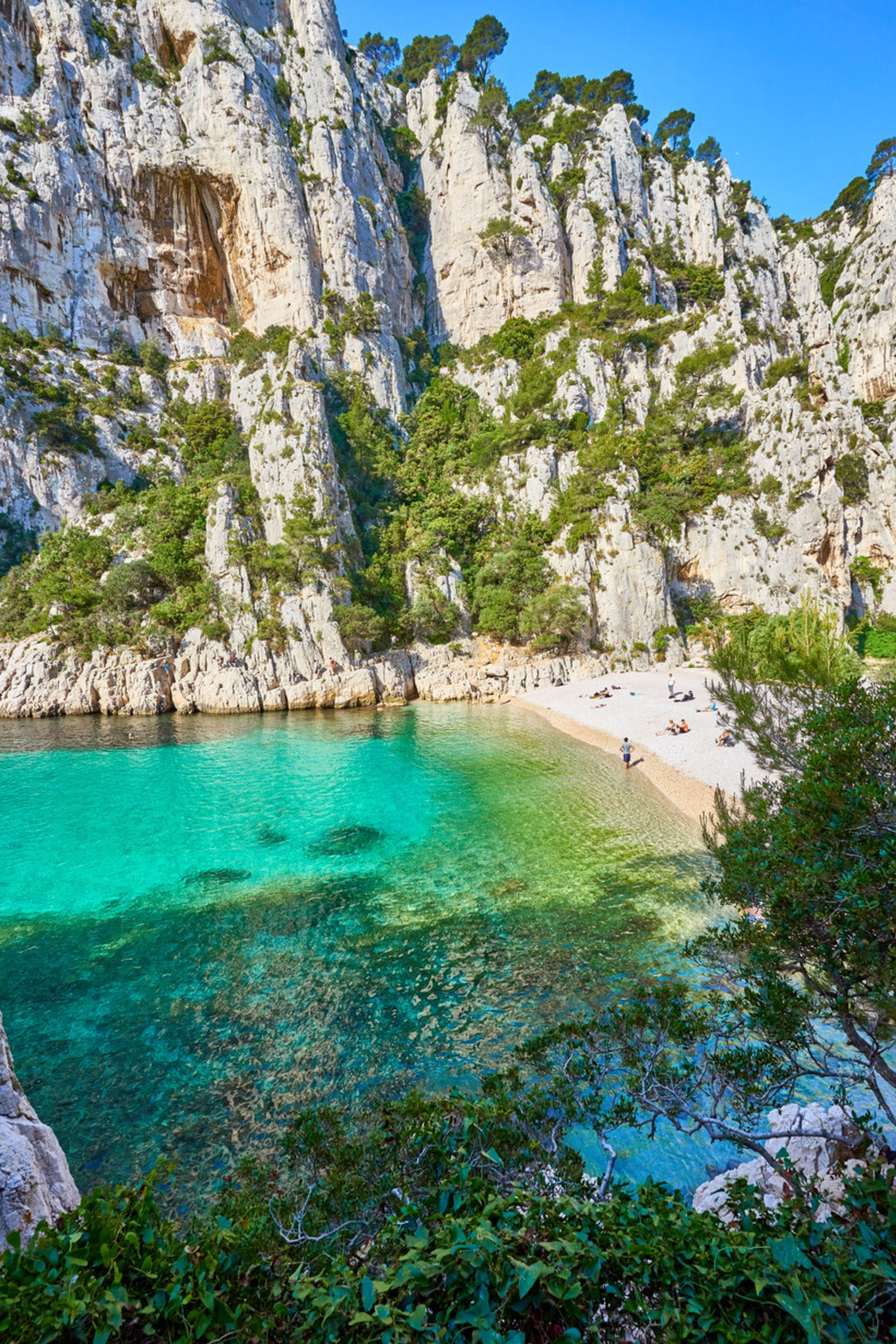 Mediterranean landscape of southern France