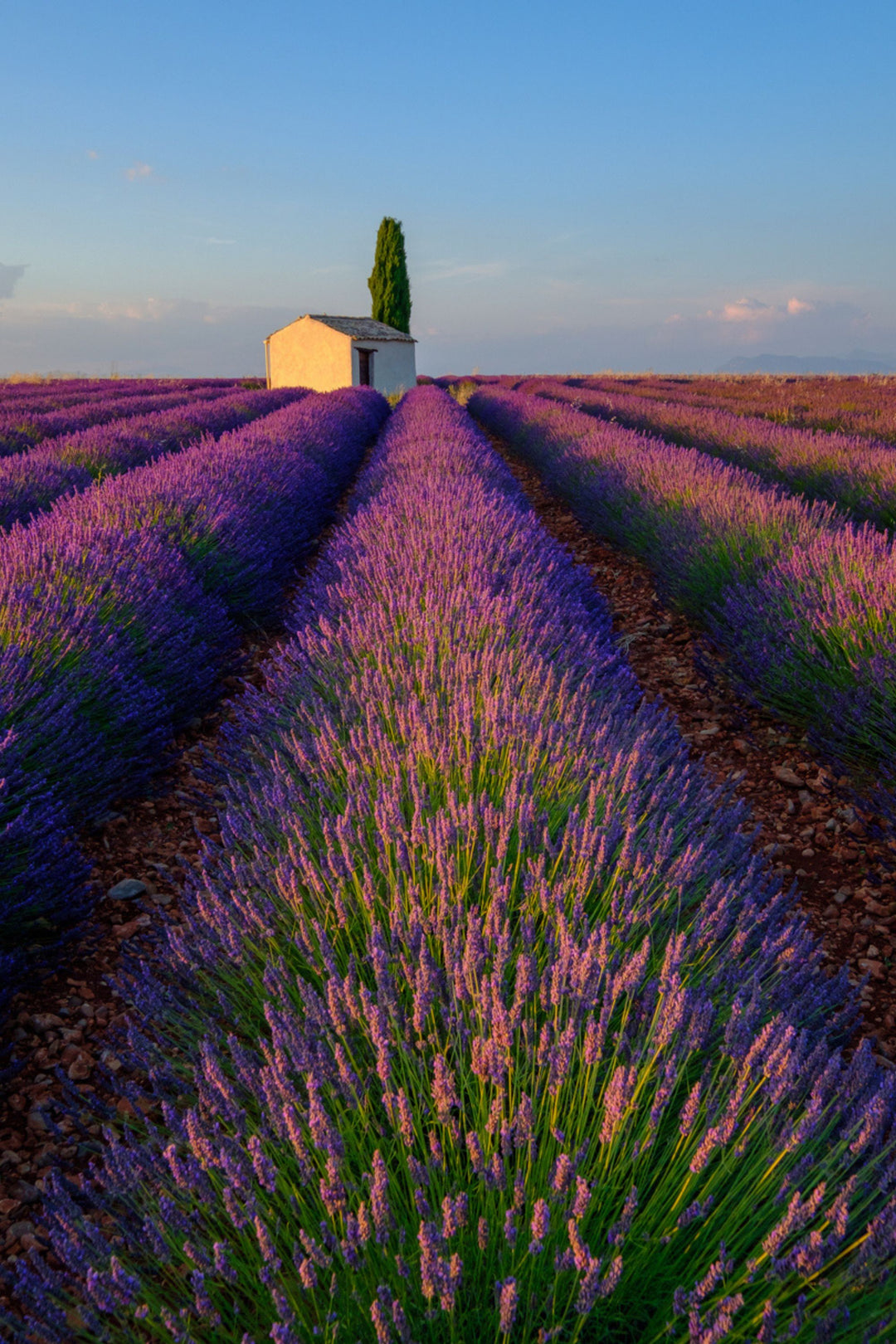 Paisaje mediterráneo